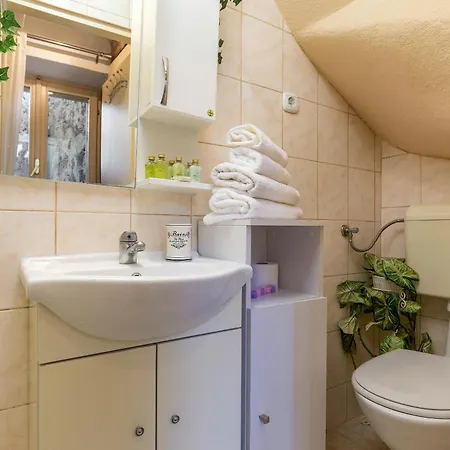 Duplex Camelia In Charming Old Town