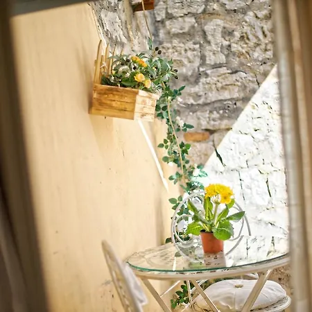 Duplex Camelia In Charming Old Town *