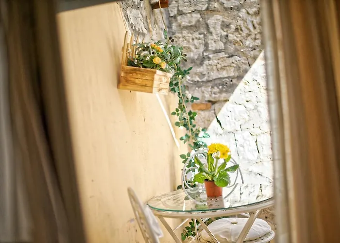 Duplex Camelia In Charming Old Town *